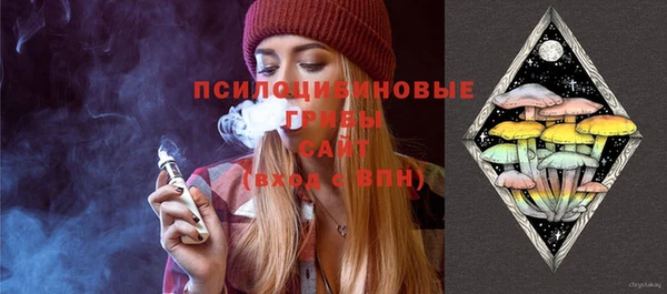 2c-b Алзамай