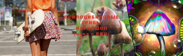 2c-b Алзамай