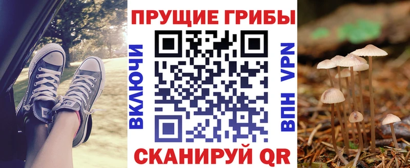 Псилоцибиновые грибы GOLDEN TEACHER  где можно купить   Армянск 